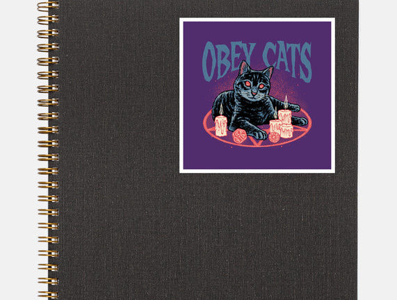 Obey All Cats