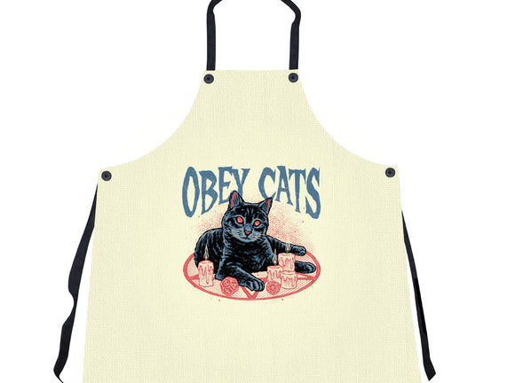 Obey All Cats