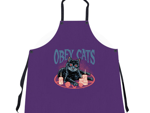 Obey All Cats