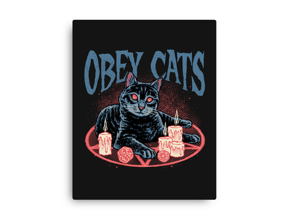 Obey All Cats