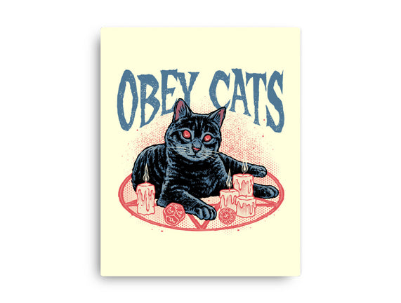 Obey All Cats