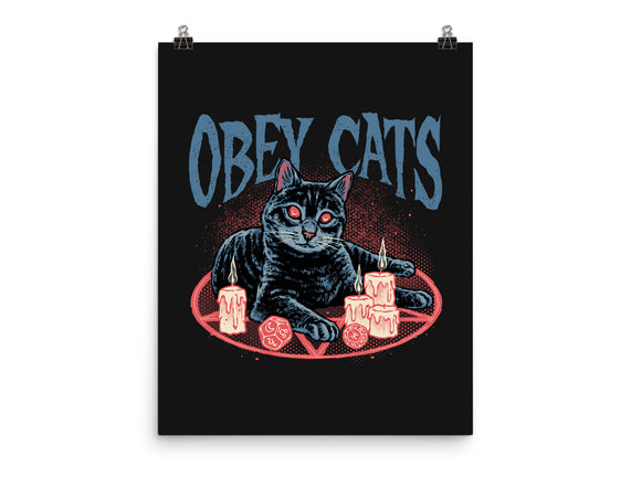 Obey All Cats