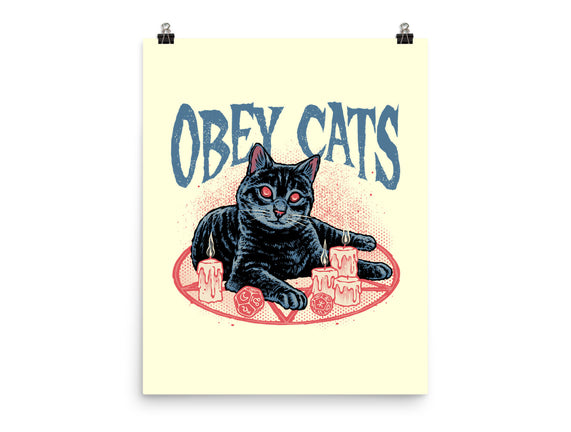 Obey All Cats