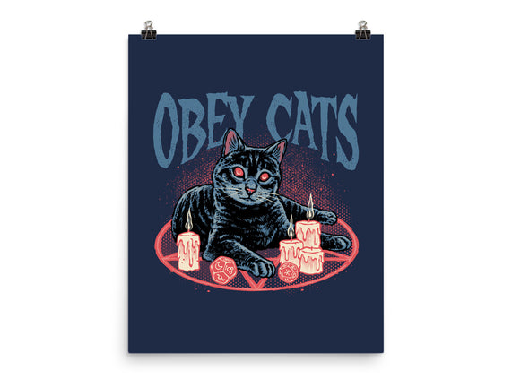 Obey All Cats