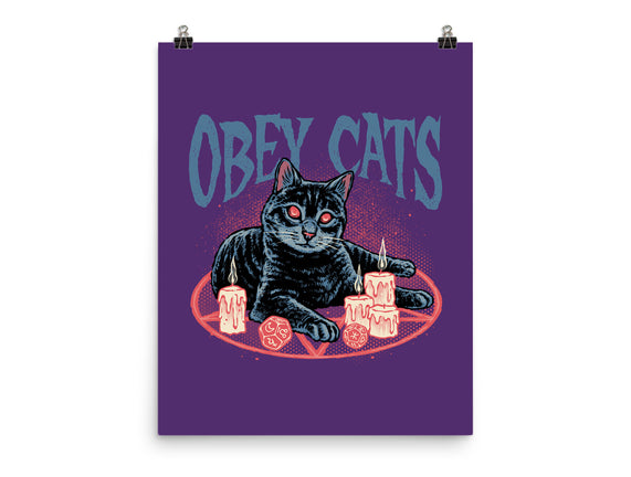 Obey All Cats