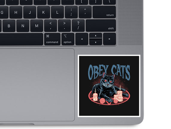 Obey All Cats