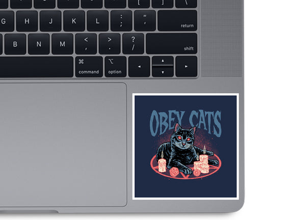 Obey All Cats