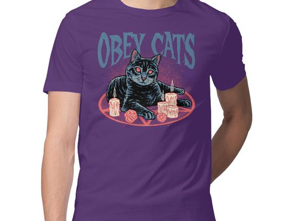 Obey All Cats