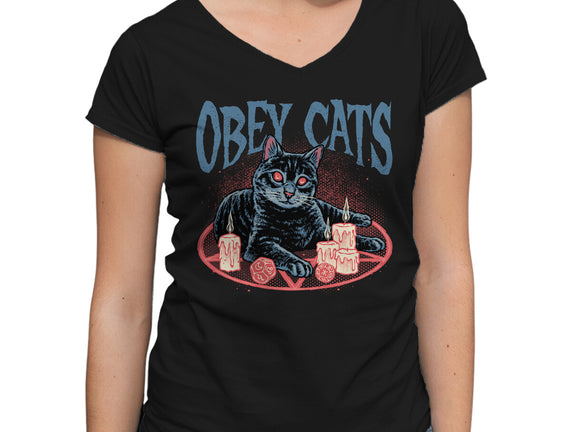 Obey All Cats