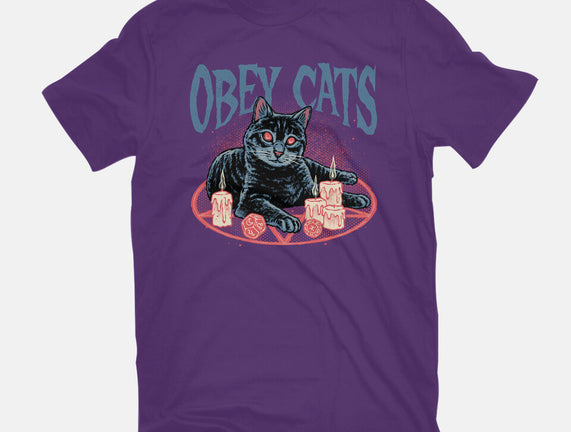 Obey All Cats