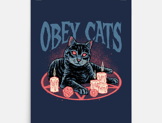 Obey All Cats
