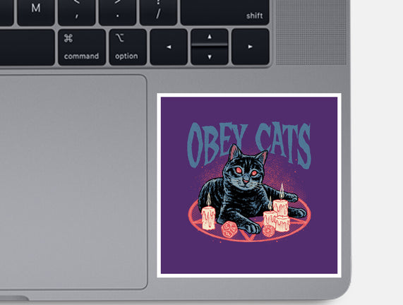 Obey All Cats