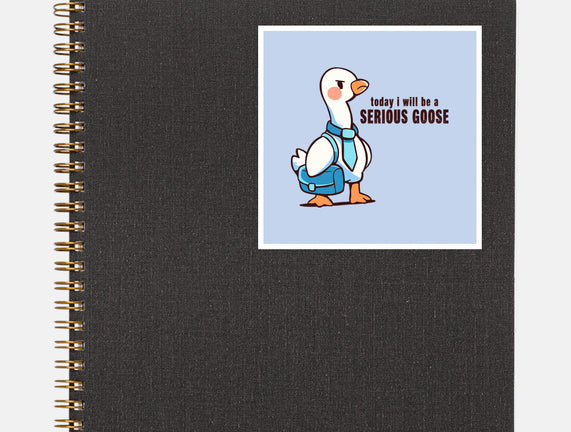 Today I Will Be A Serious Goose