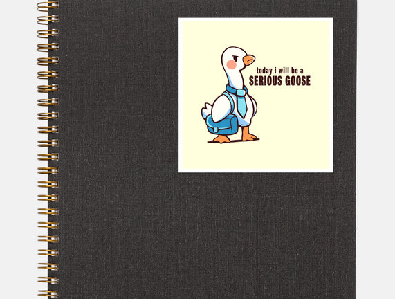 Today I Will Be A Serious Goose