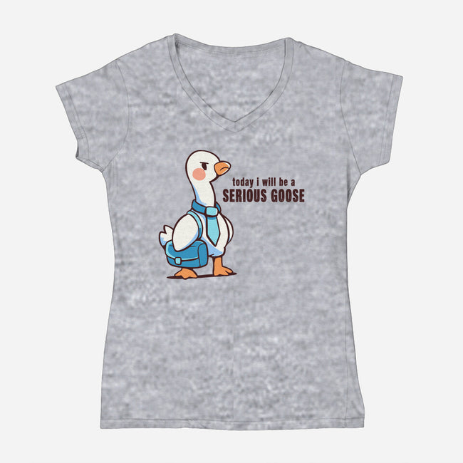 Today I Will Be A Serious Goose-Womens-V-Neck-Tee-TechraNova