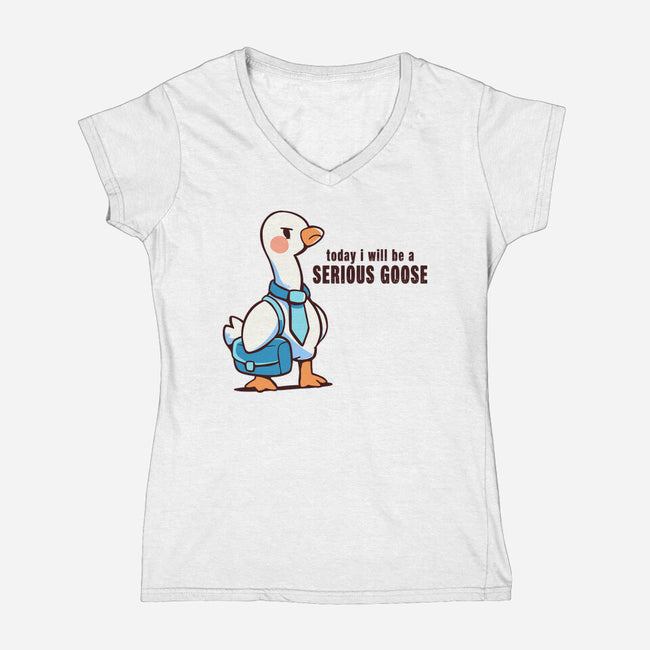 Today I Will Be A Serious Goose-Womens-V-Neck-Tee-TechraNova