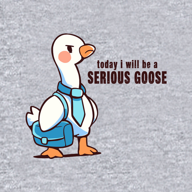 Today I Will Be A Serious Goose-Mens-Basic-Tee-TechraNova