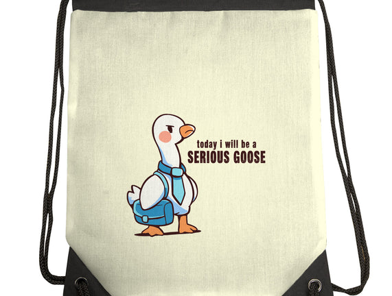 Today I Will Be A Serious Goose