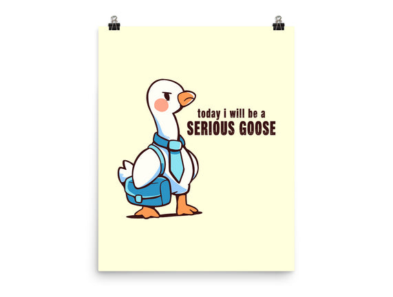 Today I Will Be A Serious Goose
