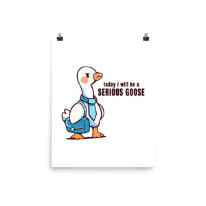 Today I Will Be A Serious Goose