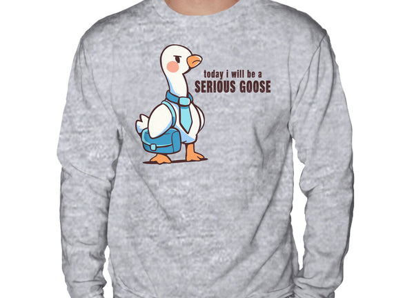 Today I Will Be A Serious Goose