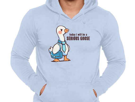Today I Will Be A Serious Goose