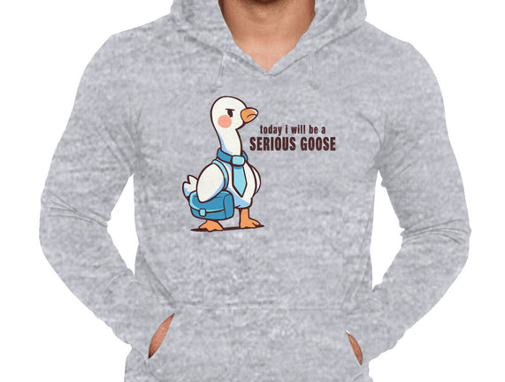 Today I Will Be A Serious Goose