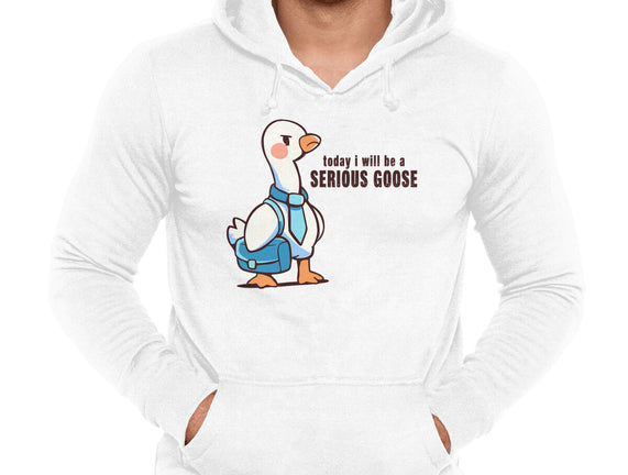 Today I Will Be A Serious Goose