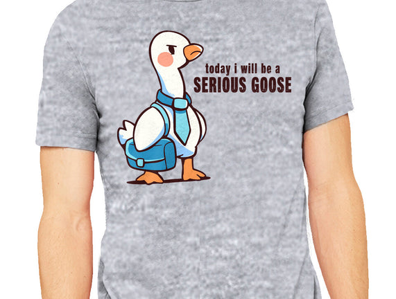 Today I Will Be A Serious Goose