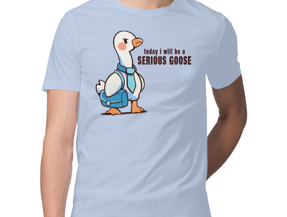 Today I Will Be A Serious Goose