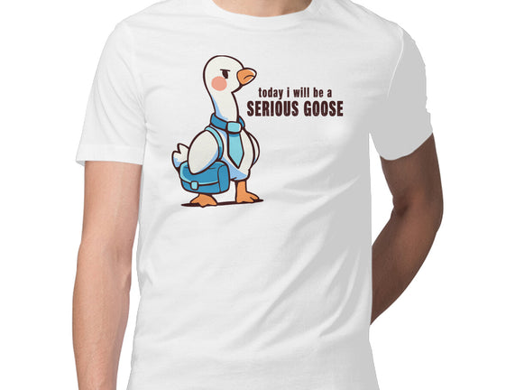 Today I Will Be A Serious Goose