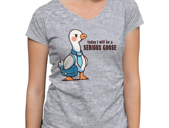 Today I Will Be A Serious Goose