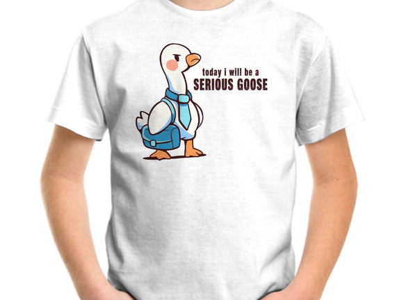 Today I Will Be A Serious Goose