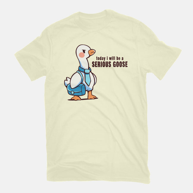 Today I Will Be A Serious Goose-Mens-Basic-Tee-TechraNova