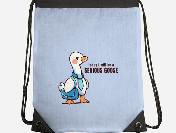 Today I Will Be A Serious Goose