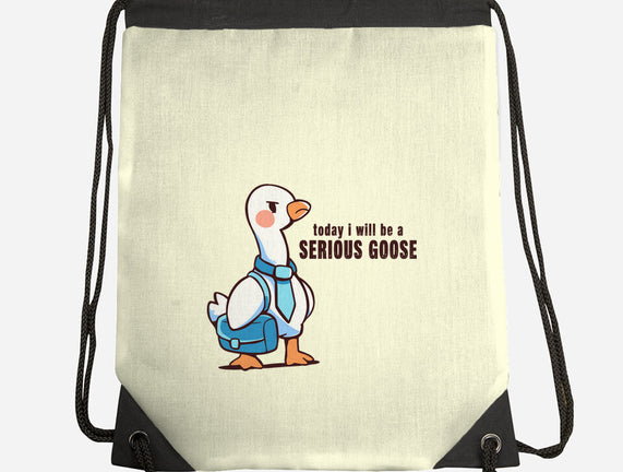 Today I Will Be A Serious Goose