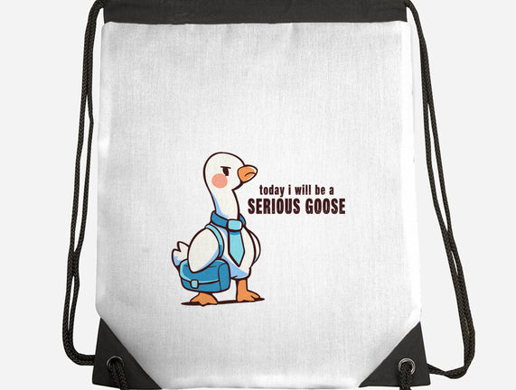 Today I Will Be A Serious Goose