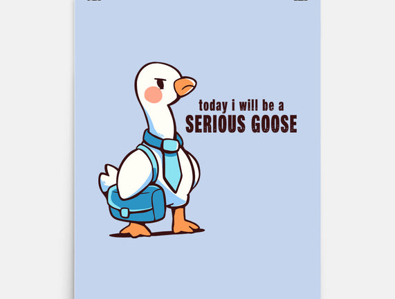 Today I Will Be A Serious Goose