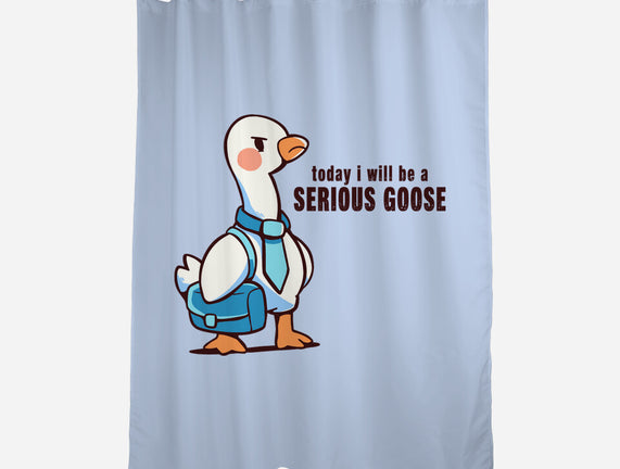 Today I Will Be A Serious Goose