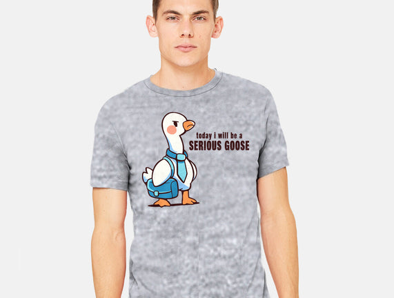 Today I Will Be A Serious Goose