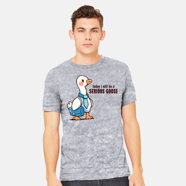 Today I Will Be A Serious Goose-Mens-Heavyweight-Tee-TechraNova
