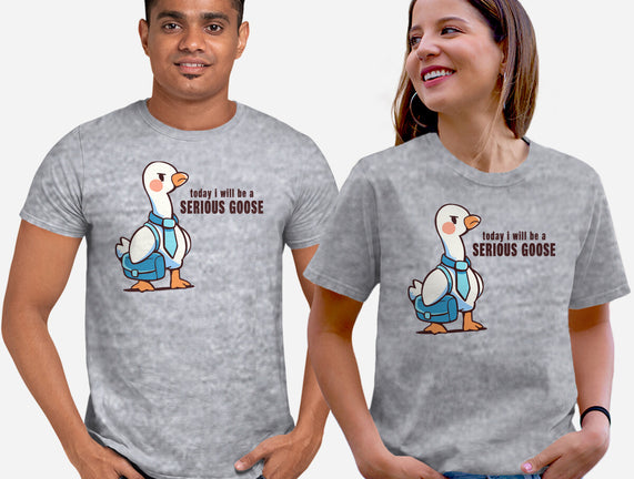 Today I Will Be A Serious Goose