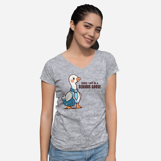 Today I Will Be A Serious Goose-Womens-V-Neck-Tee-TechraNova
