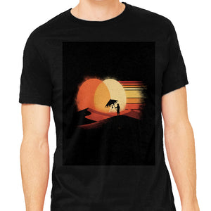Binary Sunset