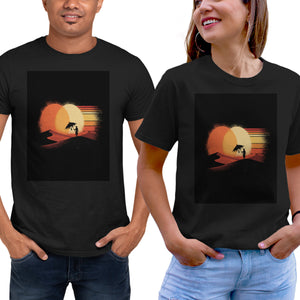 Binary Sunset