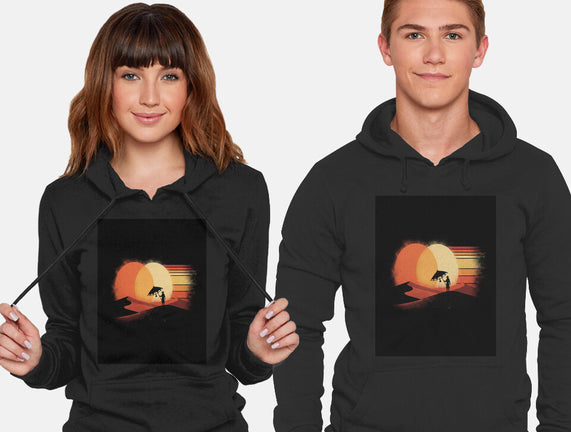 Binary Sunset