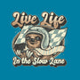 Live Life In The Slow Lane-None-Drawstring-Bag-glitchygorilla