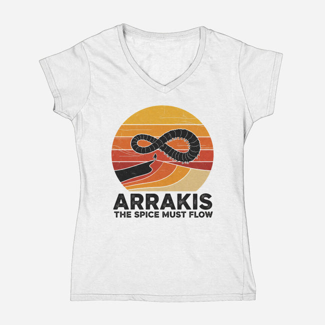 The Spice Sands Of Arrakis-Womens-V-Neck-Tee-LILIVIA