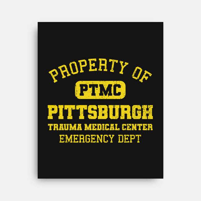 Pittsburgh Trauma Medical Center-None-Stretched-Canvas-kg07