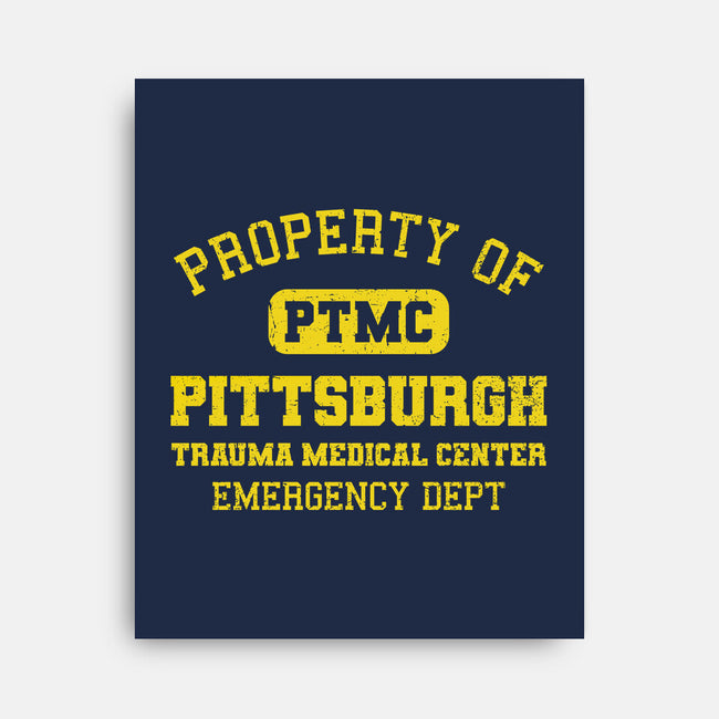 Pittsburgh Trauma Medical Center-None-Stretched-Canvas-kg07